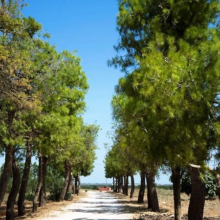 Masseria San Paolo Salice Salentino Esterno foto